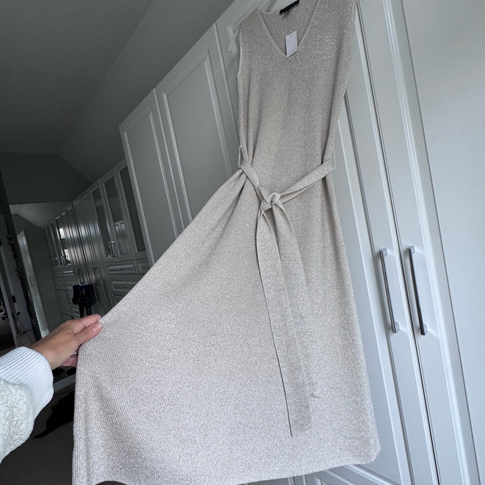 Champagne with gold shimmers-Ann Taylor A-line Knit Dress with Removable Belt